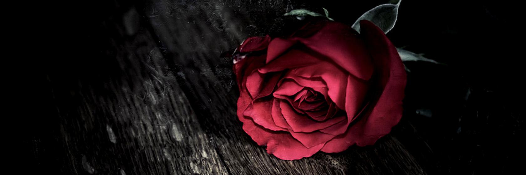selfieisme's profile banner image