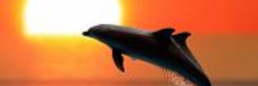 Deepak_kanva's profile banner image