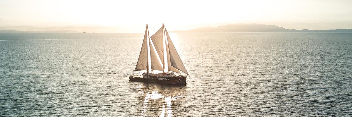 Sandra Schöttner banner