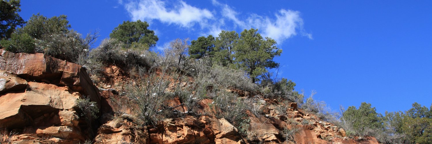 Deb_Hyatt's profile banner image