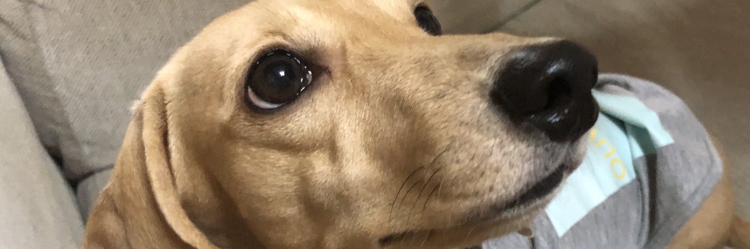 Chu_chun_'s profile banner image