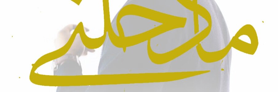 DOWN 4 WHATEVER banner