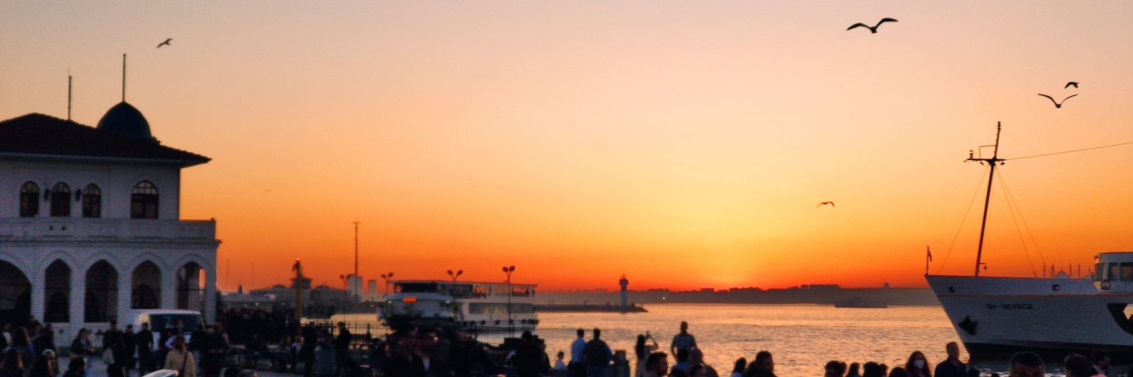 aliikosar's profile banner image