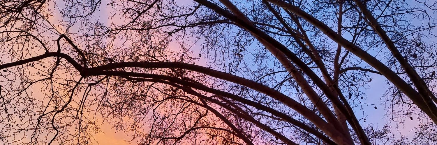 itsandrxblack_'s profile banner image