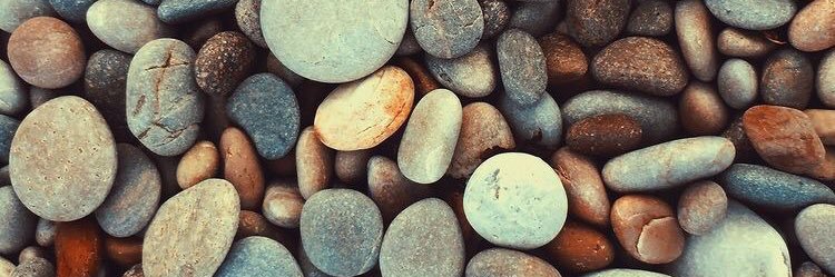 meredithblakeof's profile banner image