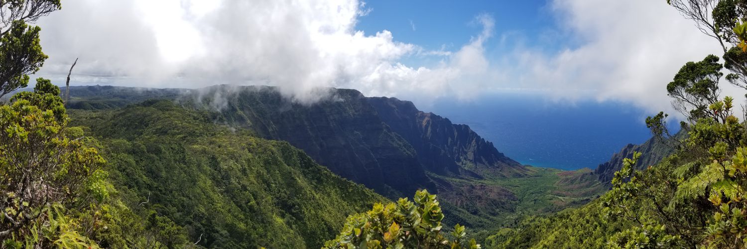 jmorris808's profile banner image