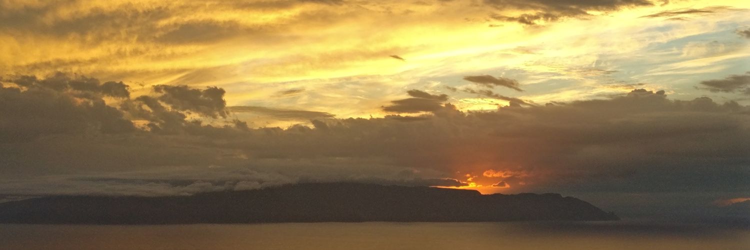 logicandnature's profile banner image