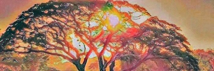 Breocon's profile banner image