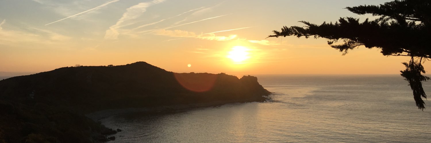 Berengere Audrant banner