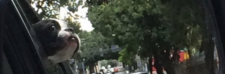 Roqueawe's profile banner image