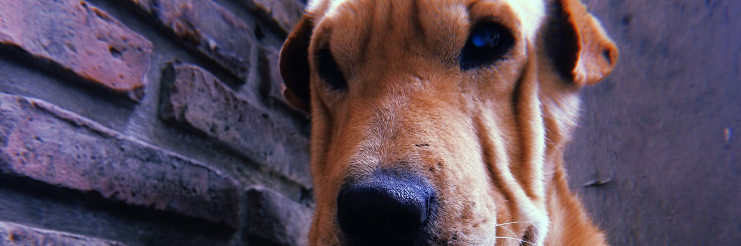 hug🕳 banner