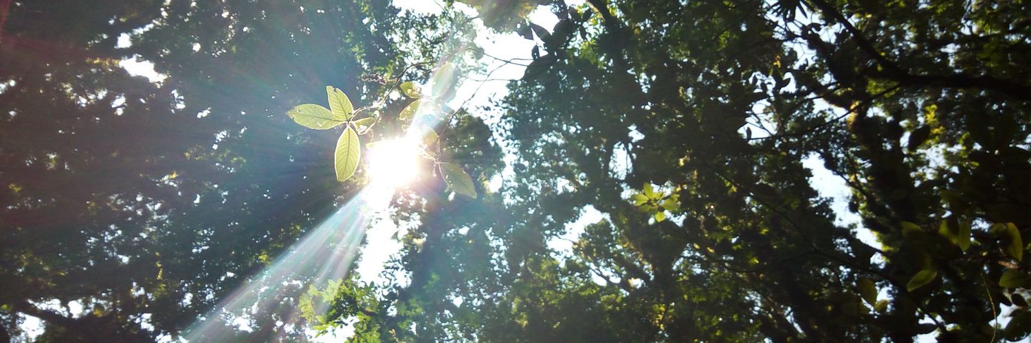 _Kotaroo's profile banner image