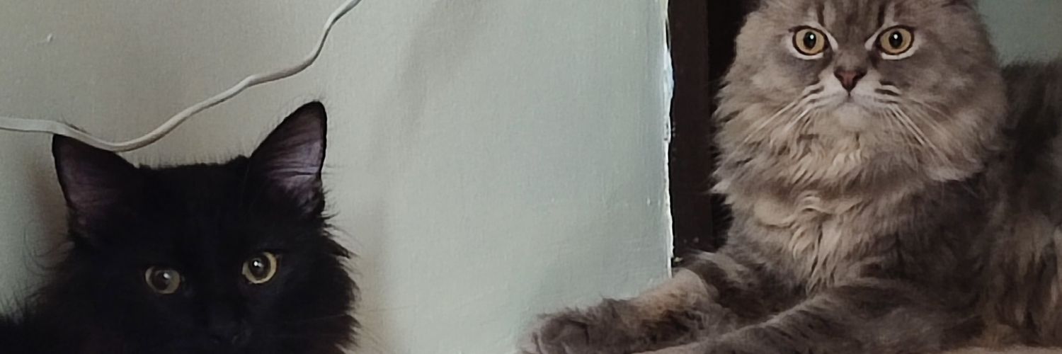 _cyrysbl's profile banner image