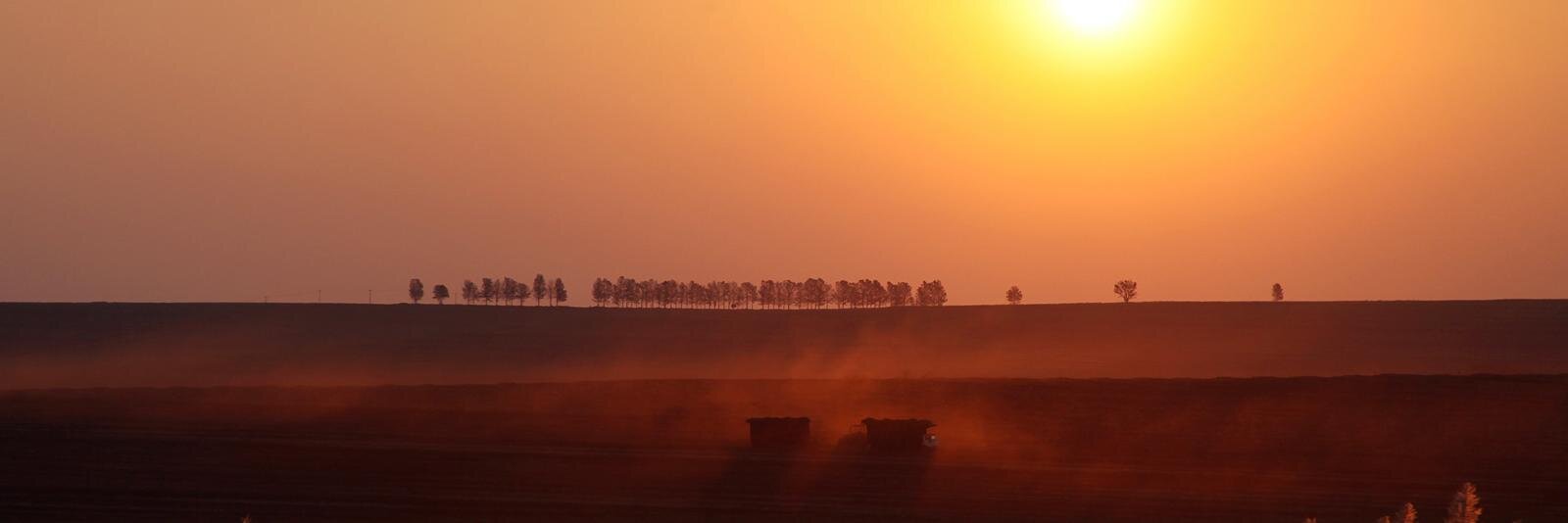 James Trocket banner