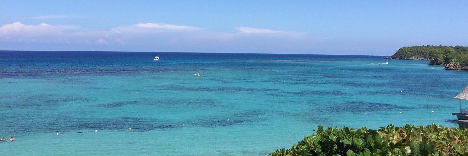 Theresa Marie banner