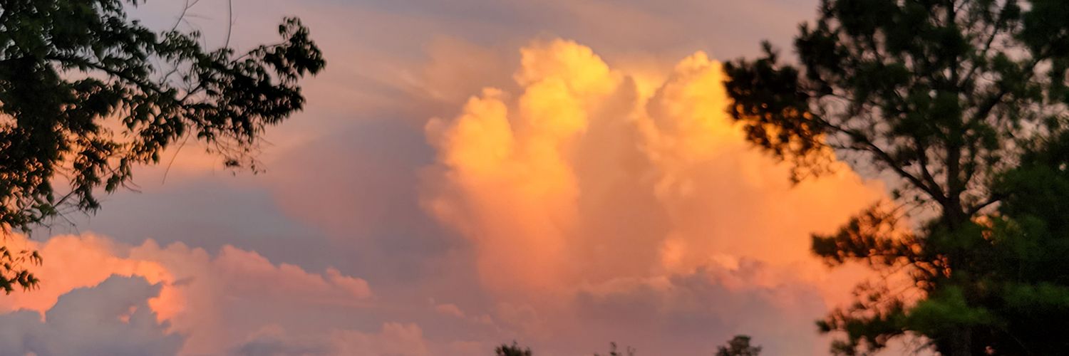 sav_cuz's profile banner image