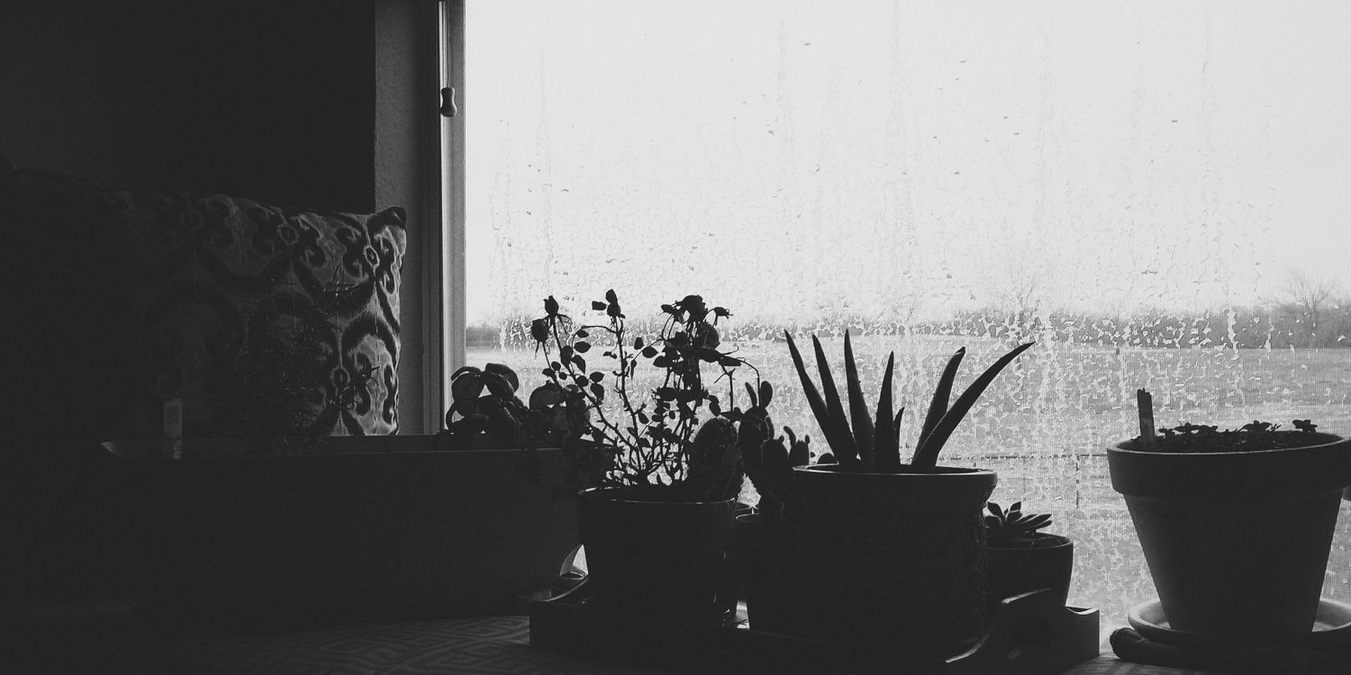 leslieostreet's profile banner image