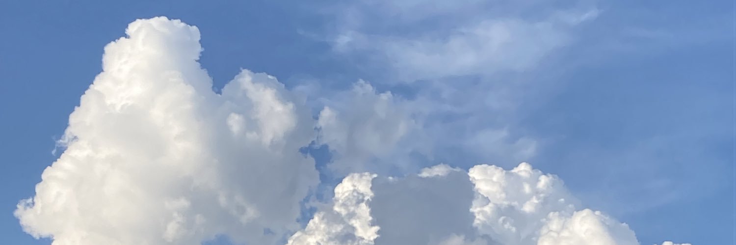erchst's profile banner image