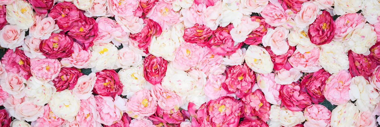 maria_deyoung's profile banner image