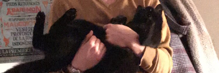 inesdalm's profile banner image