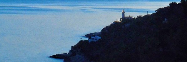 GusCatCrypto's profile banner image