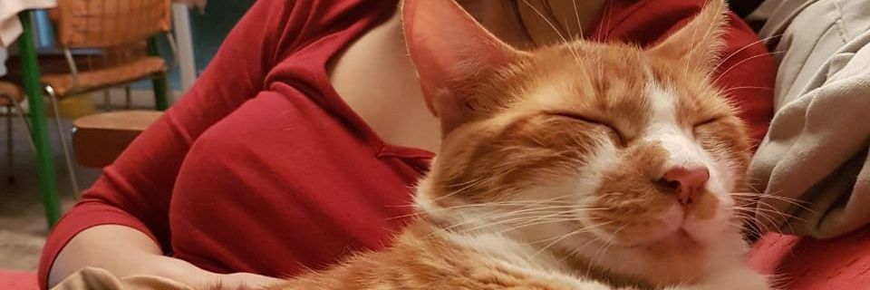 jimenol's profile banner image