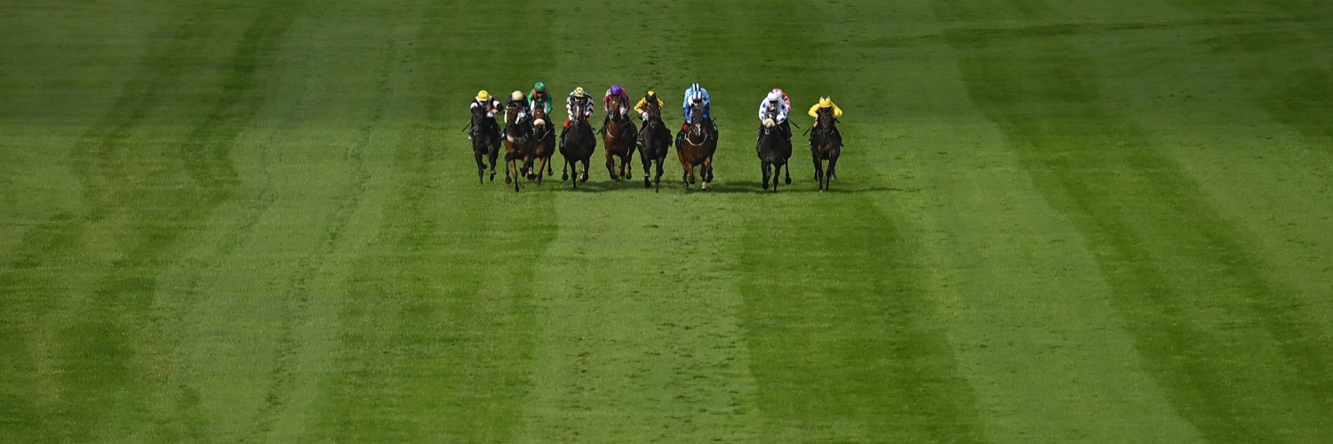 Seba John Finn Daly banner