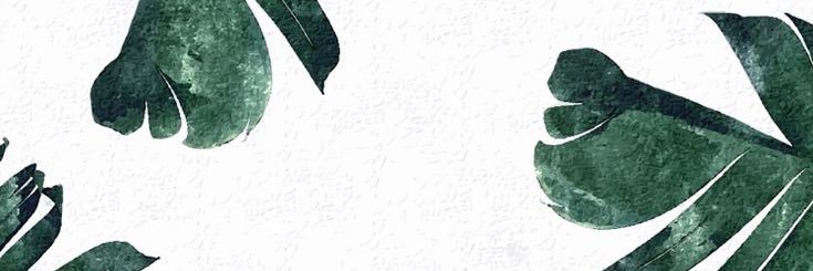 AALEXISBECHTEL's profile banner image