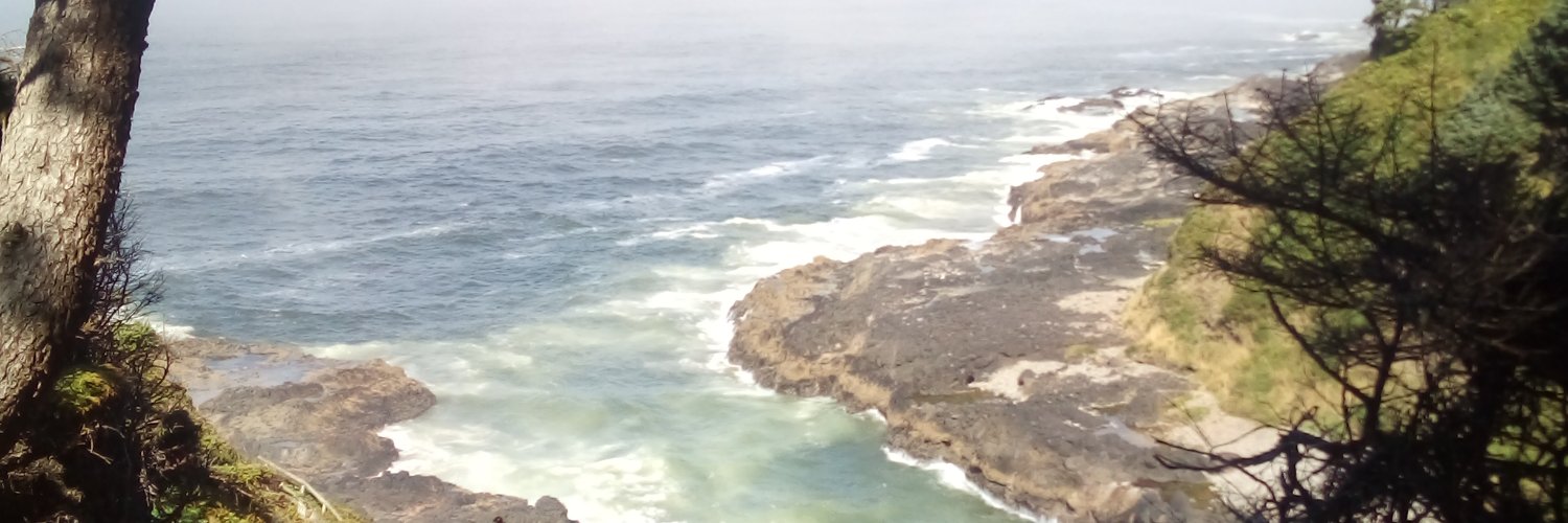 onegoodfishlady's profile banner image
