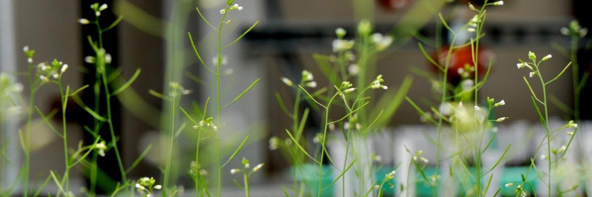 TheunPakProject's profile banner image