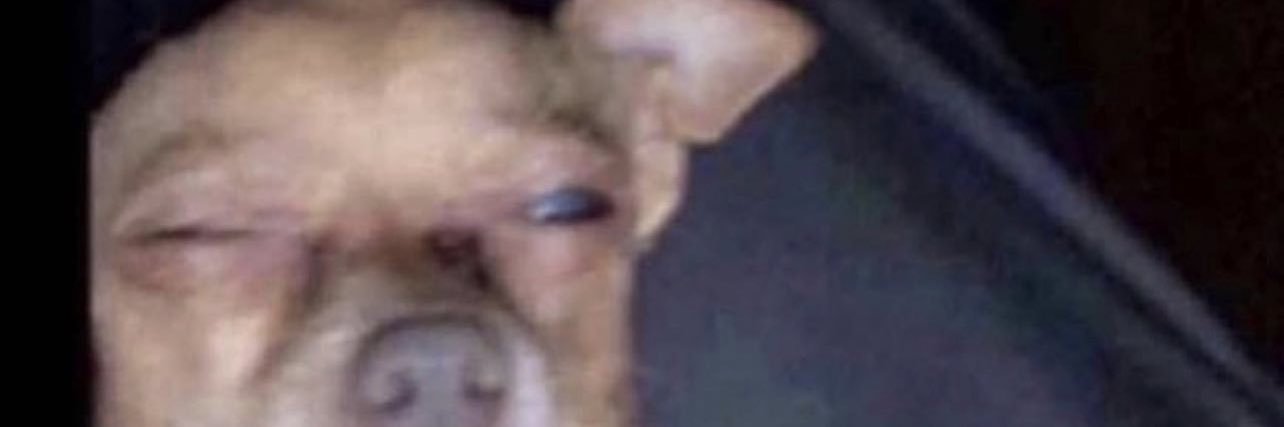 A 🫧 banner