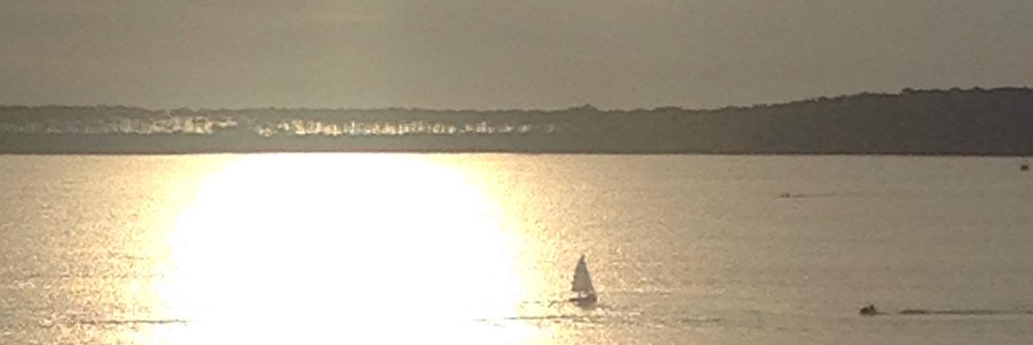 mlaurazp's profile banner image