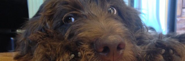 William Anderson banner