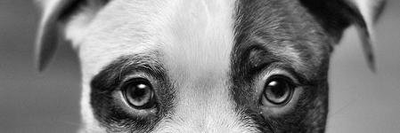 diskodiskoo's profile banner image