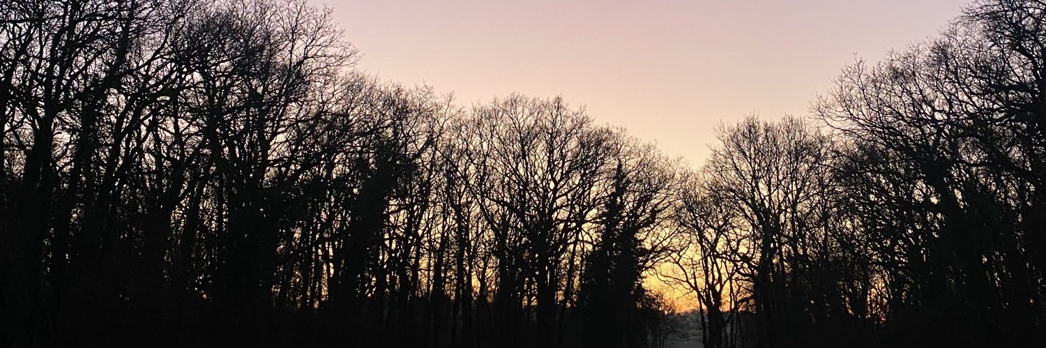 cleemepinat's profile banner image
