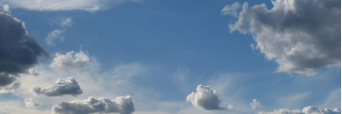 Susan_L_Collins's profile banner image