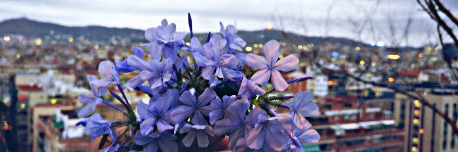 Katyeta's profile banner image