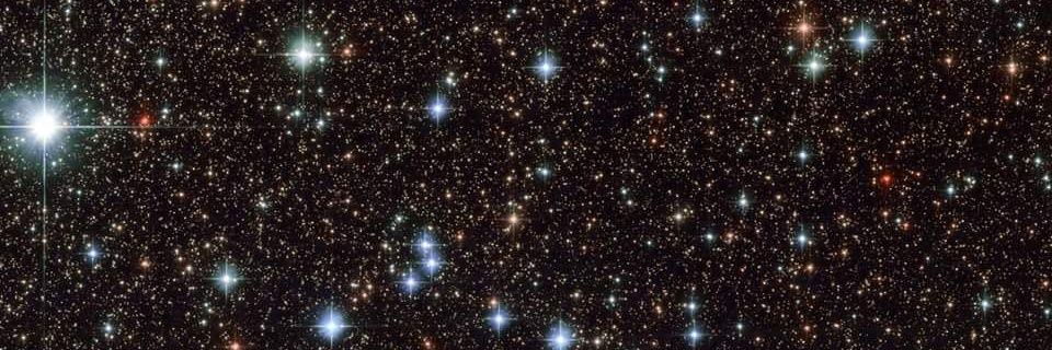 CarlaDKennedy's profile banner image