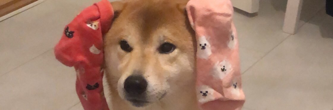 1204J_'s profile banner image