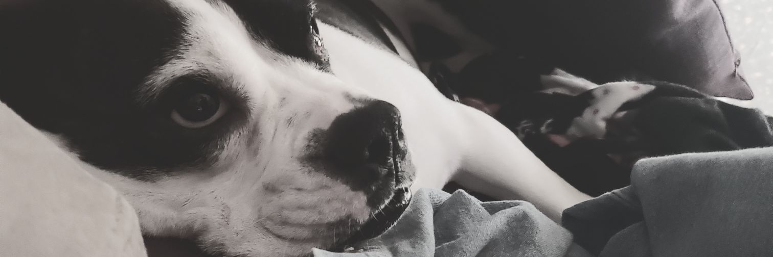 CassyNickey's profile banner image