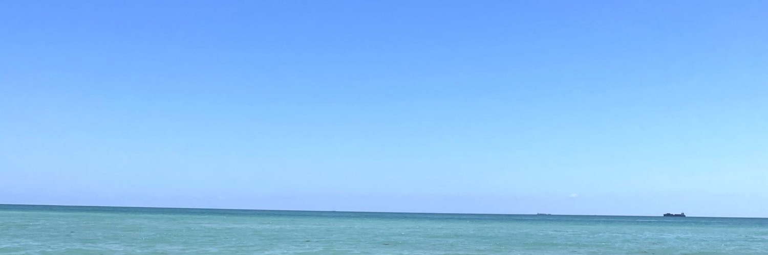 carrlagutierrez's profile banner image