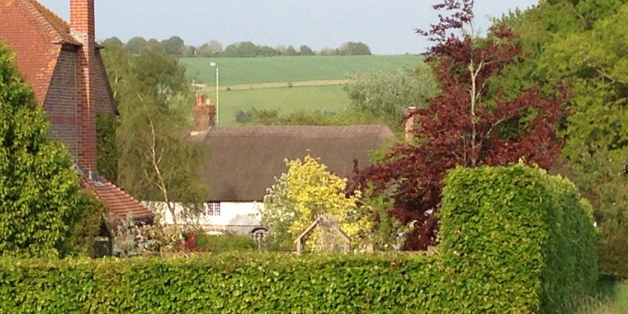 MelcombeB's profile banner image