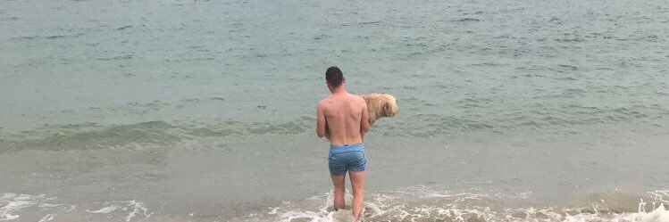 benstandenn's profile banner image