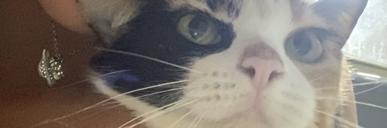 Lice_G32's profile banner image