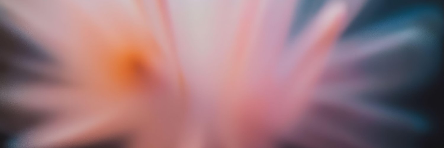 parisamios's profile banner image