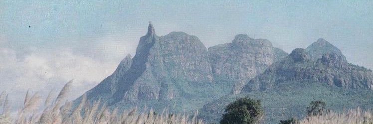 nblhmohd's profile banner image