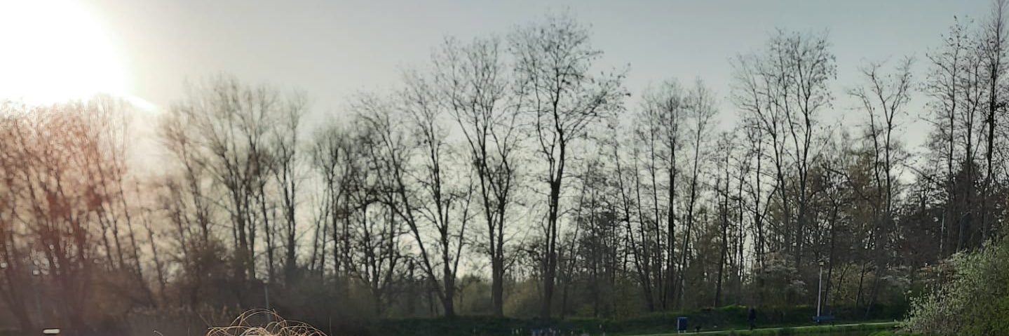 Bircaneyy's profile banner image