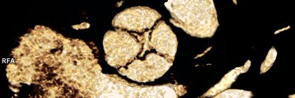 CIgorMorr Profile Banner