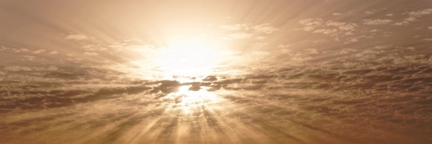 enelalbor's profile banner image