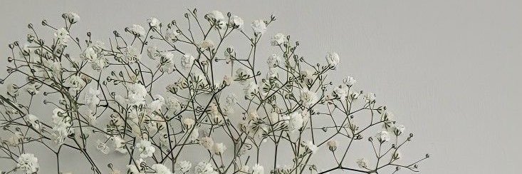 luisaesg's profile banner image